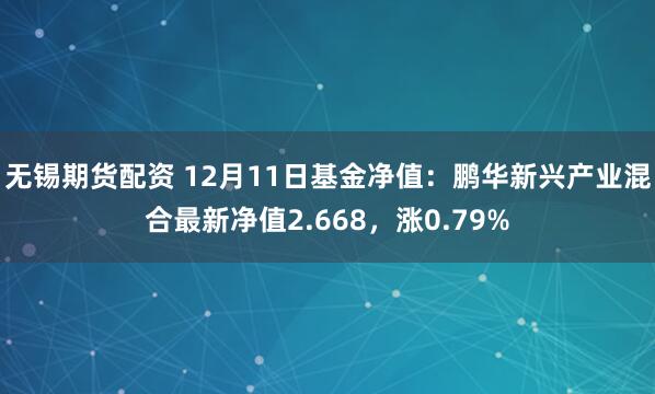 无锡期货配资 12月11日基金净值：鹏华新兴产业混合最新净值2.668，涨0.79%
