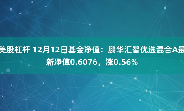 美股杠杆 12月12日基金净值：鹏华汇智优选混合A最新净值0.6076，涨0.56%