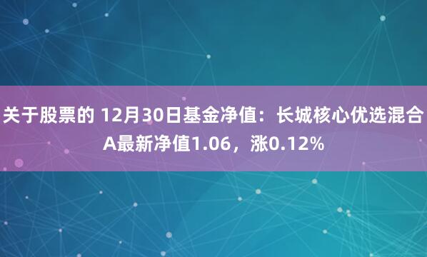 关于股票的 12月30日基金净值：长城核心优选混合A最新净值1.06，涨0.12%