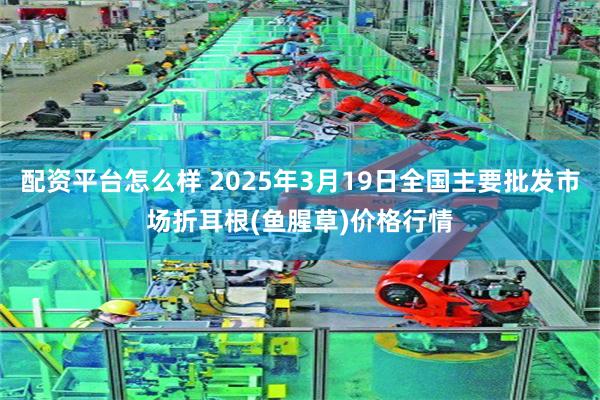 配资平台怎么样 2025年3月19日全国主要批发市场折耳根(鱼腥草)价格行情
