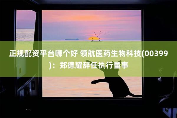 正规配资平台哪个好 领航医药生物科技(00399)：郑德耀辞任执行董事