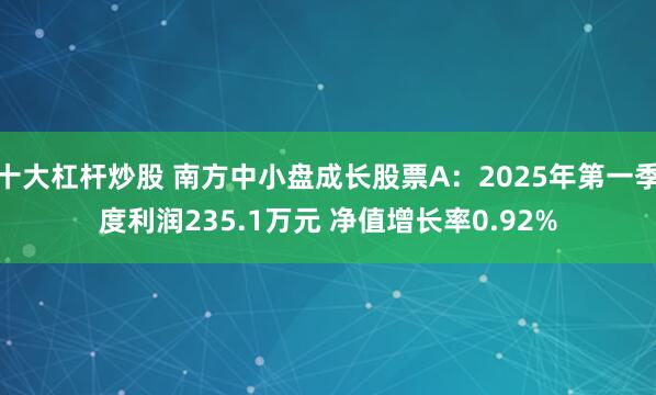 十大杠杆炒股 南方中小盘成长股票A：2025年第一季度利润235.1万元 净值增长率0.92%