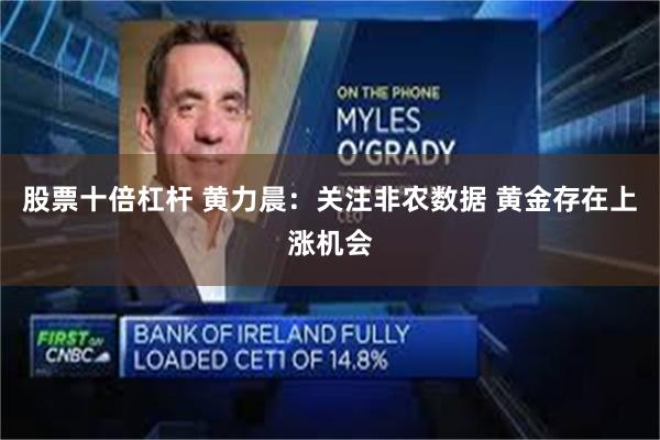 股票十倍杠杆 黄力晨：关注非农数据 黄金存在上涨机会