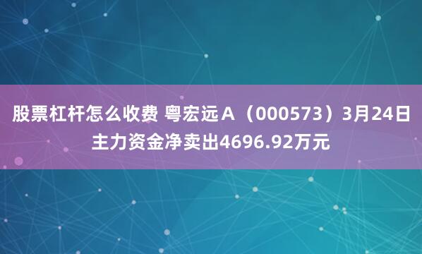 股票杠杆怎么收费 粤宏远Ａ（000573）3月24日主力资金净卖出4696.92万元