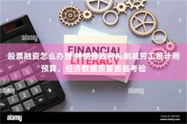 股票融资怎么办理 特朗普政府拟削减劳工统计局预算，经济数据质量面临考验