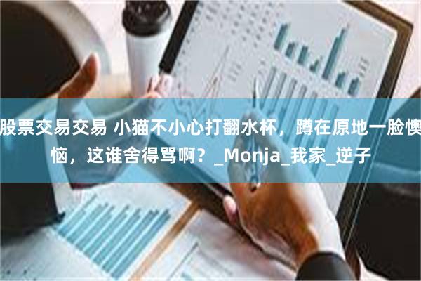 股票交易交易 小猫不小心打翻水杯，蹲在原地一脸懊恼，这谁舍得骂啊？_Monja_我家_逆子
