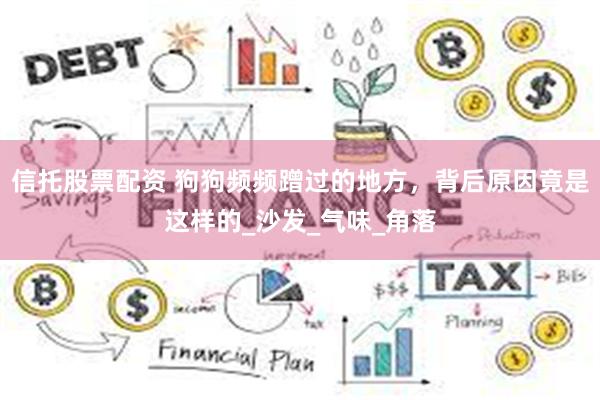 信托股票配资 狗狗频频蹭过的地方，背后原因竟是这样的_沙发_气味_角落