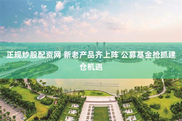 正规炒股配资网 新老产品齐上阵 公募基金抢抓建仓机遇