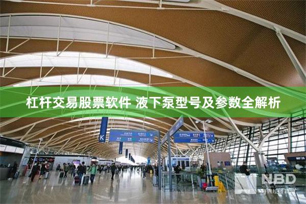 杠杆交易股票软件 液下泵型号及参数全解析