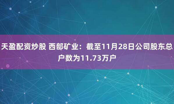 天盈配资炒股 西部矿业：截至11月28日公司股东总户数为11.73万户